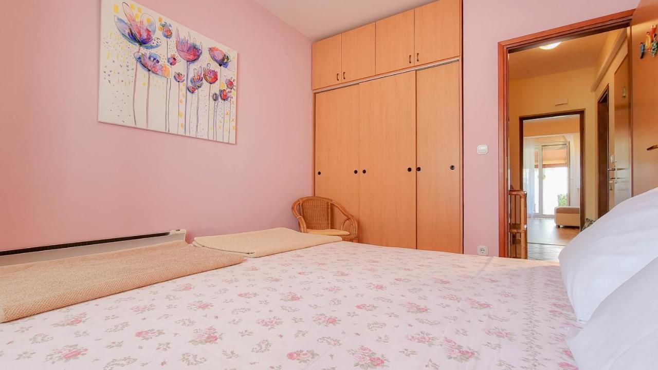 Appartement Roko à Novigrad Istria Extérieur photo